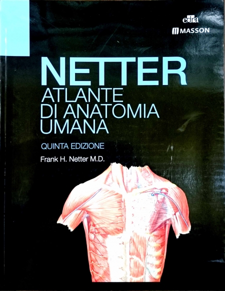 Atlante Di Neuroscienze Di Netter Pdf Atlas